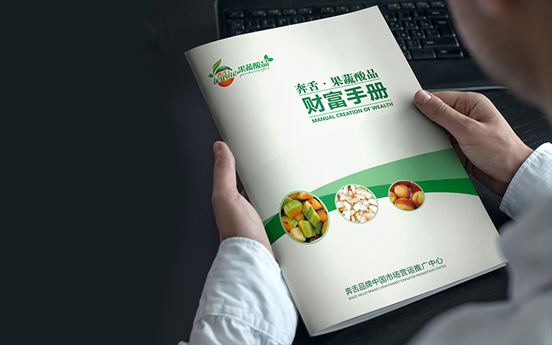 長沙招商加盟公司畫冊設計奧佑為奔舌酸品服務